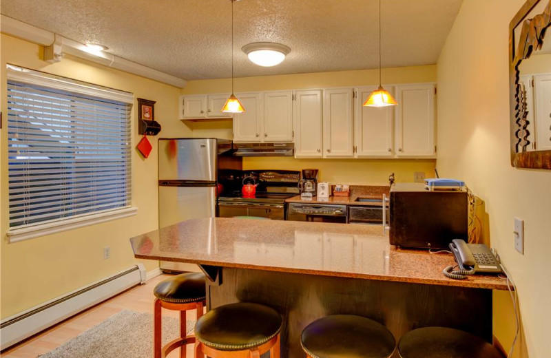 Rental kitchen at Alpine Ski Properties.