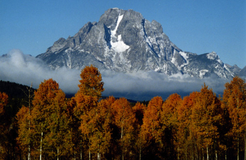 Area Surrounding Luton's Teton Cabins