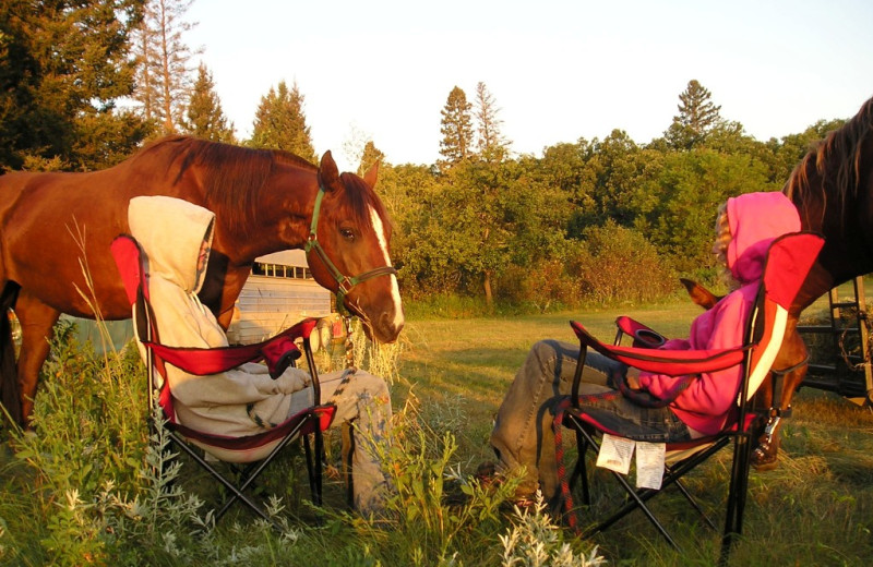 Campground at Trailhead Ranch.