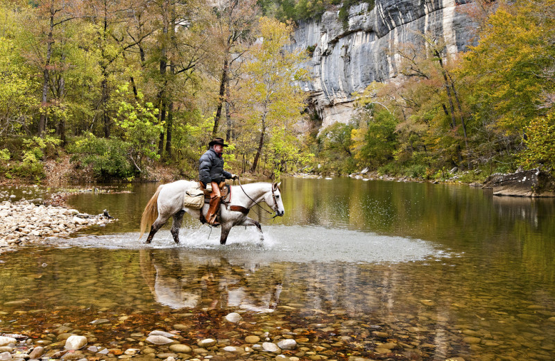 Horseback riding at Buffalo Outdoor Center.