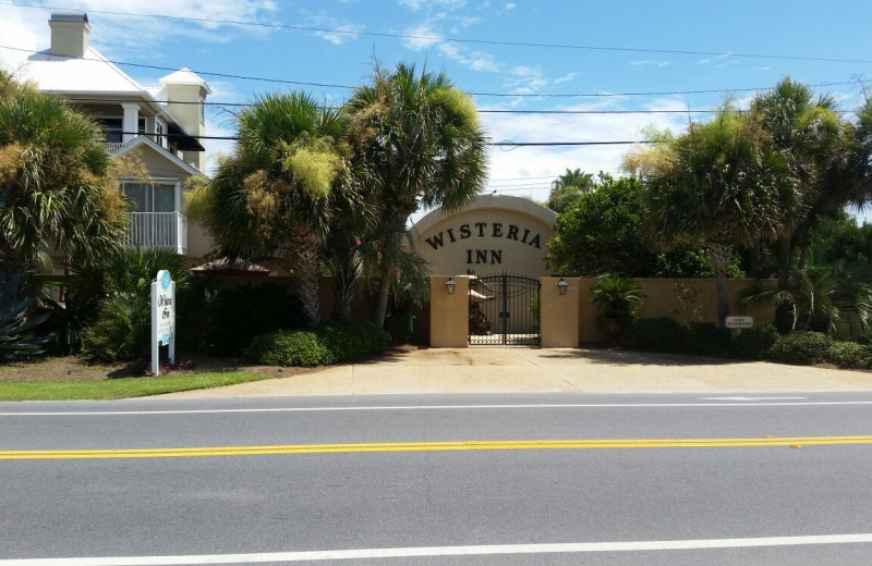 Exterior view of Wisteria Inn.