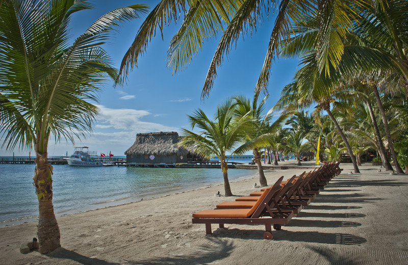 Beach at Ramon's Village Resort.