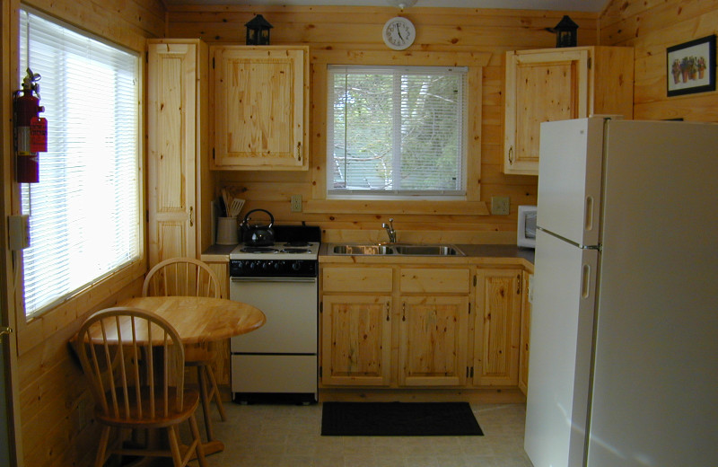 Cabin kitchen at Northern Lights Lodge & Resort.