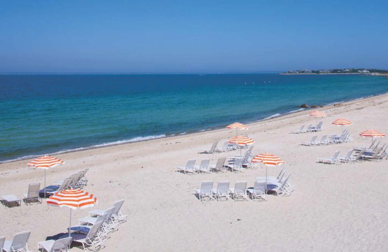 The Beach at Sea Crest Beach Hotel 