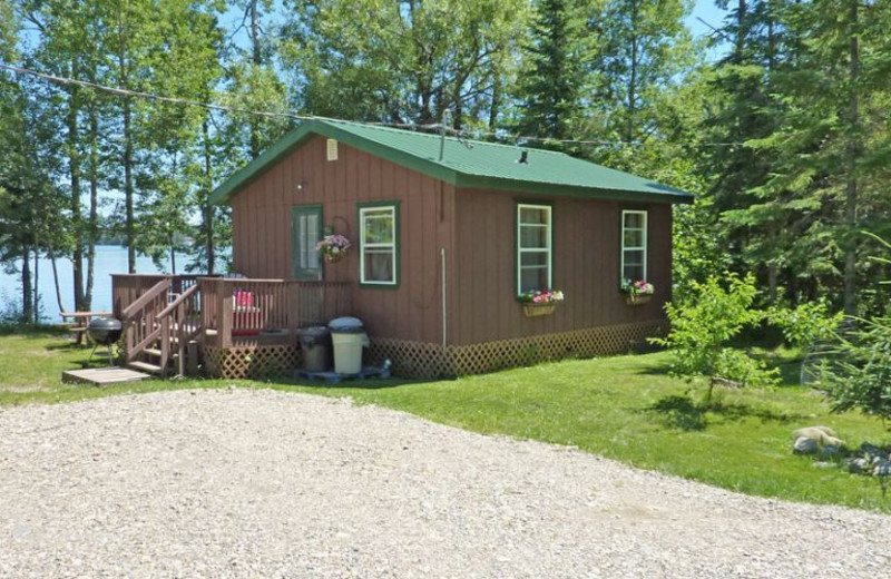 Cabin exterior at Moose Track Adventures Resort.