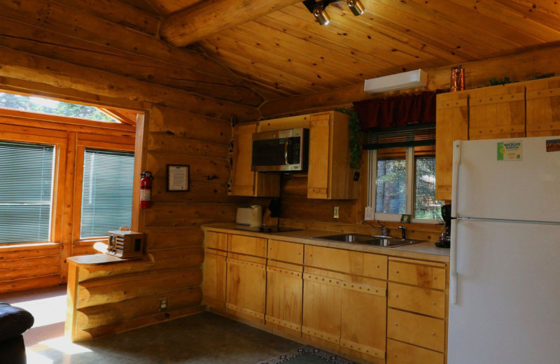 Cabin kitchen at Bear Paw Adventure.