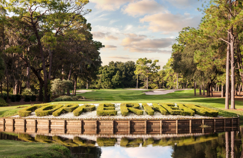 Golf near Walker Vacation Rentals.