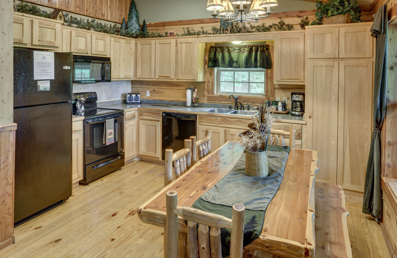 Cabin kitchen at Lake Forest Luxury Log Cabins.