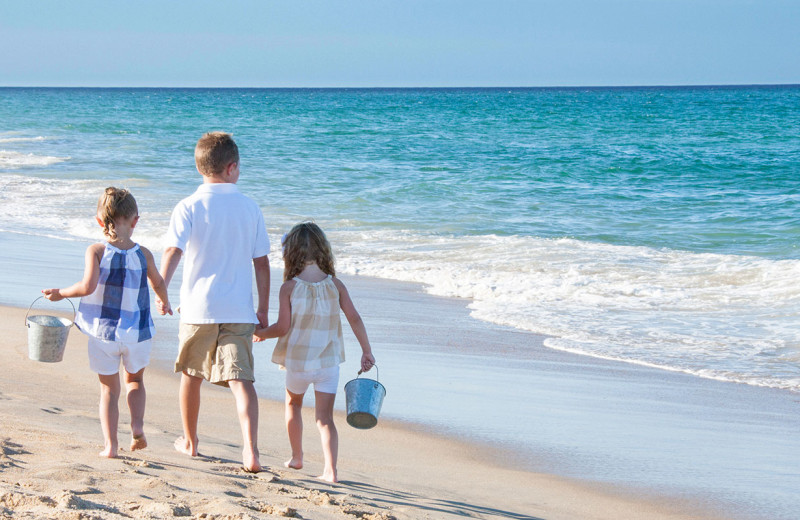 Beautiful beaches for you and your family to explore.