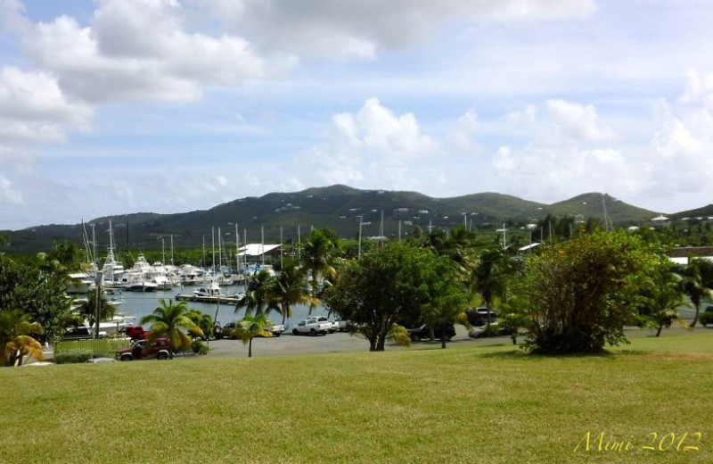 Resort Marina at Tamarind Reef Resort