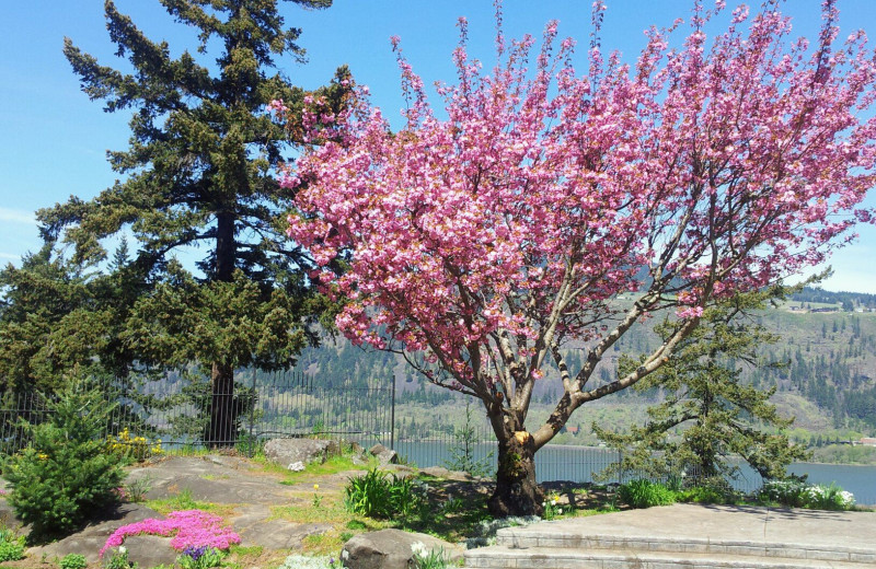 View from Columbia Gorge Hotel.