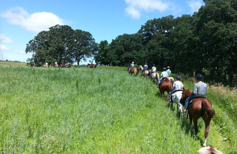 Horseback riding at Silver Sage Guest Ranch Camping.