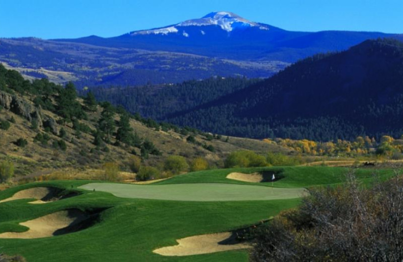 Golf near 4UR Ranch.