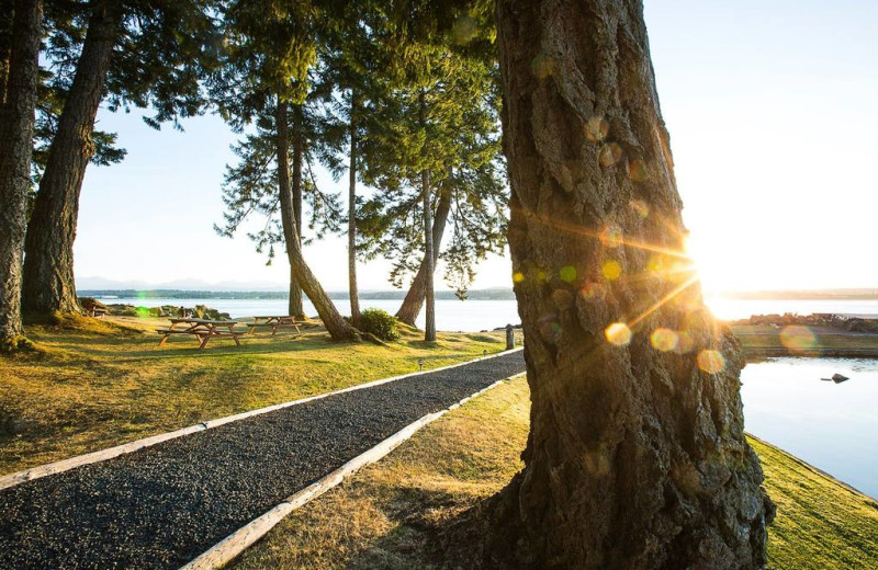 Grounds at April Point Lodge and Fishing Resort.