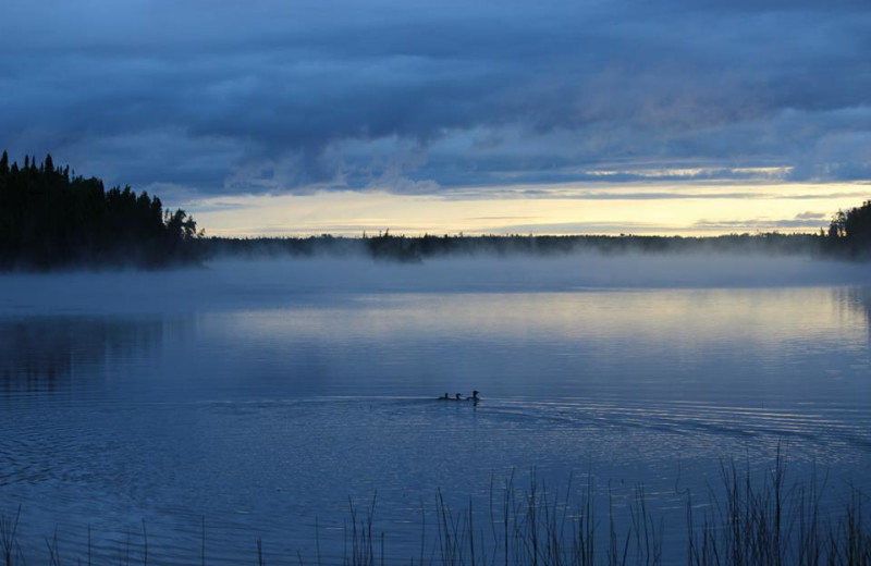 The Lake at Woman River Camp