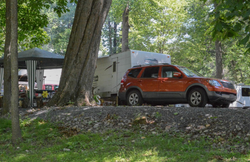 RV park at Yogi at Shangri-La - Jellystone Park.