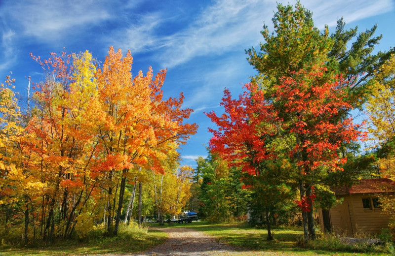 Fall colors at Moosehorn Resort.