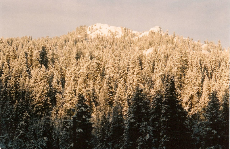 Scenic View at Silver Creek Plunge