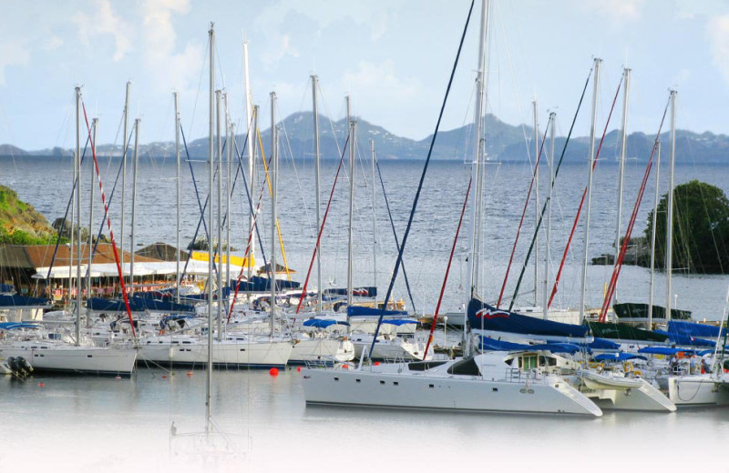 Boats in marina at Coral Beach Club.