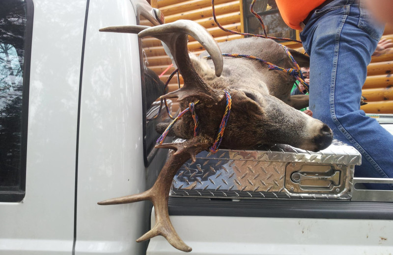 Hunting at Breezy Point Resort on Straight Lake.