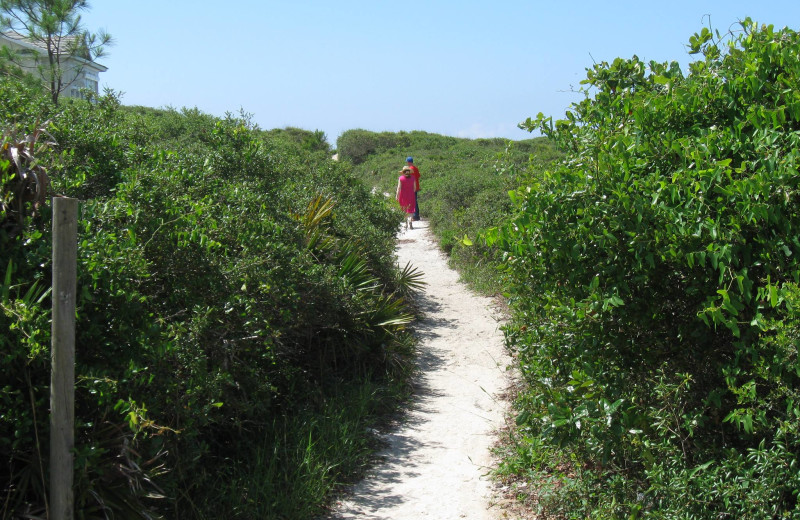 Path at Lisbeths Bed and Breakfast by the Sea.