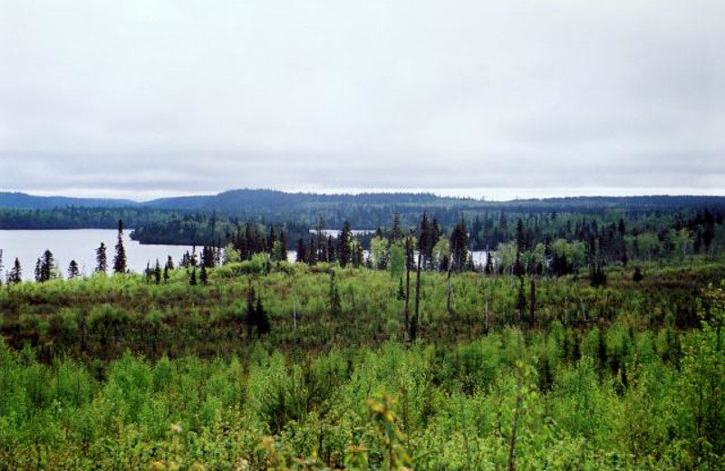 The Lake at Anishinabi Lodge