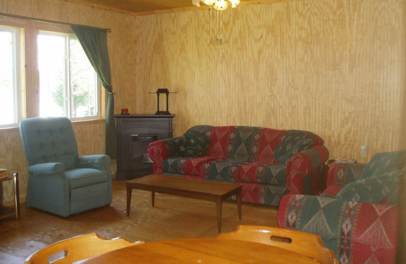 Cabin living room at Owls Nest Lodge.