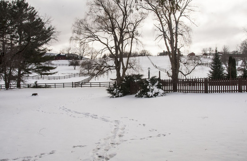 Winter time at Maple Terrace Motel.