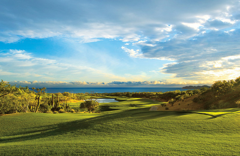 Golf course at Hilton Los Cabos Resort.