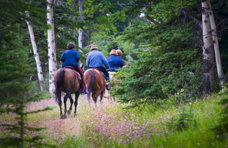 Horseback riding at Steamboat Vacation Rentals.