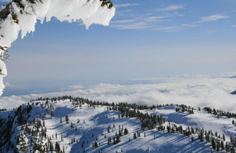 Mountains at Mt. Washington Alpine Resort.