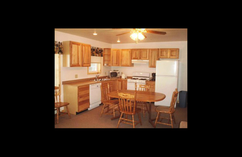 Cabin kitchen at Horseshoe Resort.