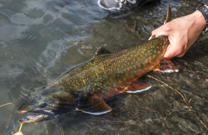 Fishing at Kenai River Drifter's Lodge.