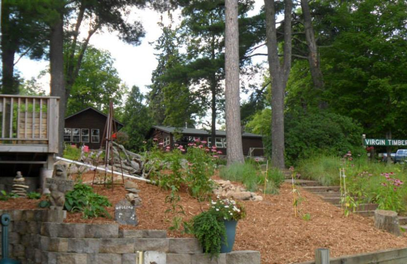 Cabins at Virgin Timber Resort.