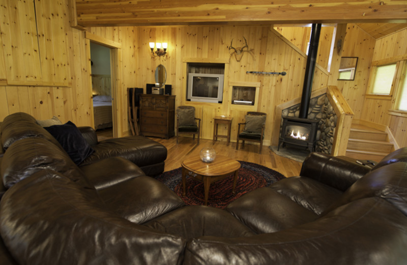 Cabin living room at Jasmer's Rainier Cabins & Fireplace Rooms.