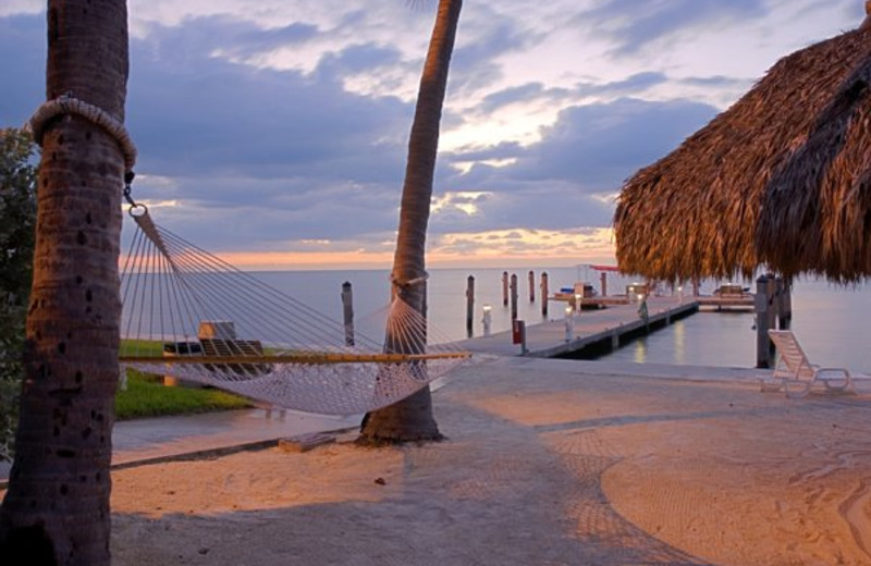 Hammock on the beach at Hampton Inn & Suites Islamorada.