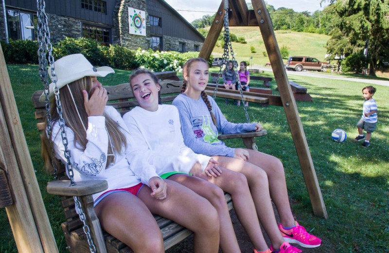 Swing bench at Cataloochee Ranch.