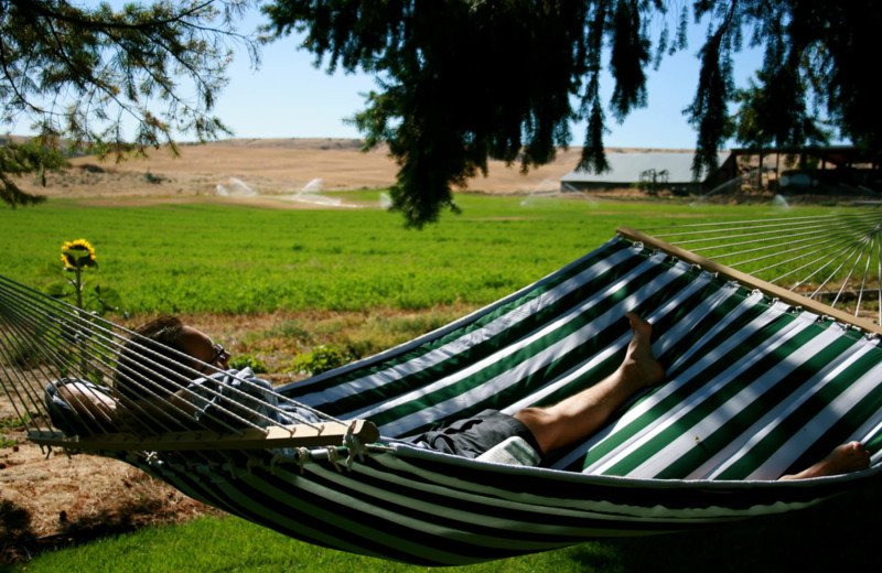 Hammock at Balch Hotel.