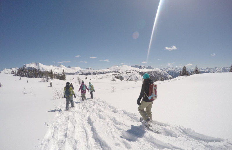 Snowshoeing at Banff Ptarmigan Inn.