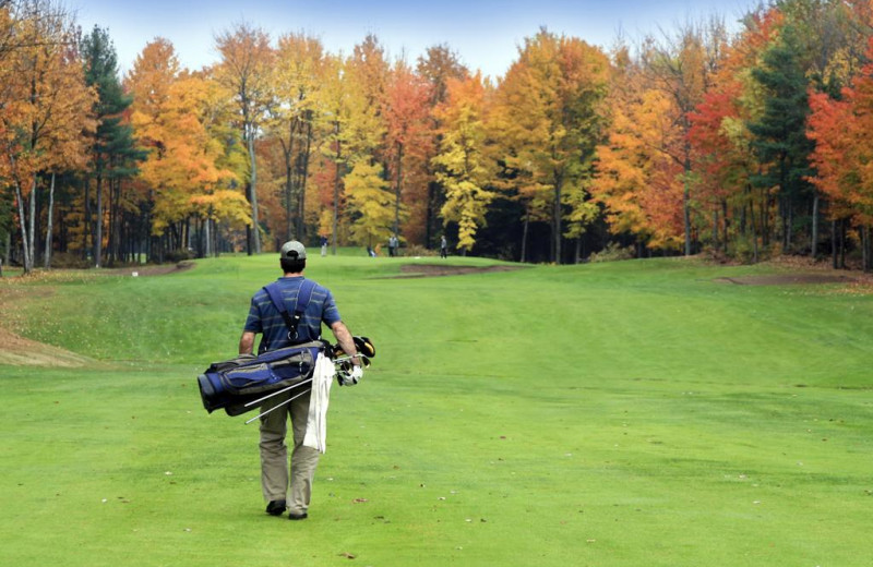 Golf near Bay Harbor Village Hotel & Conference Center.