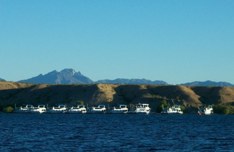 Exterior view of houseboats at Cottonwood Cove Resort.