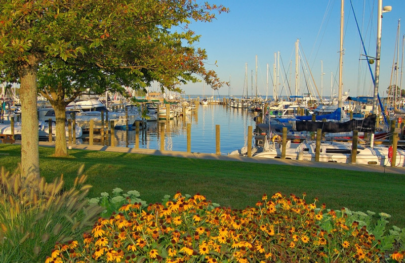 Resort View at Herrington Harbour