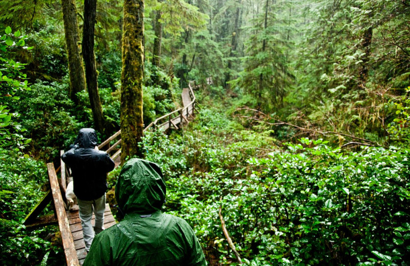 Hiking at Long Beach Lodge Resort.