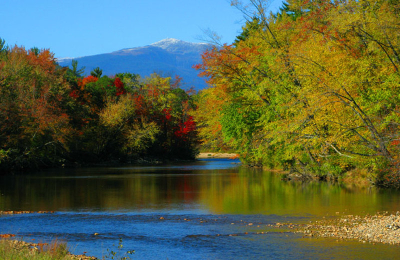 Scenery surrounding Royalty Inn.
