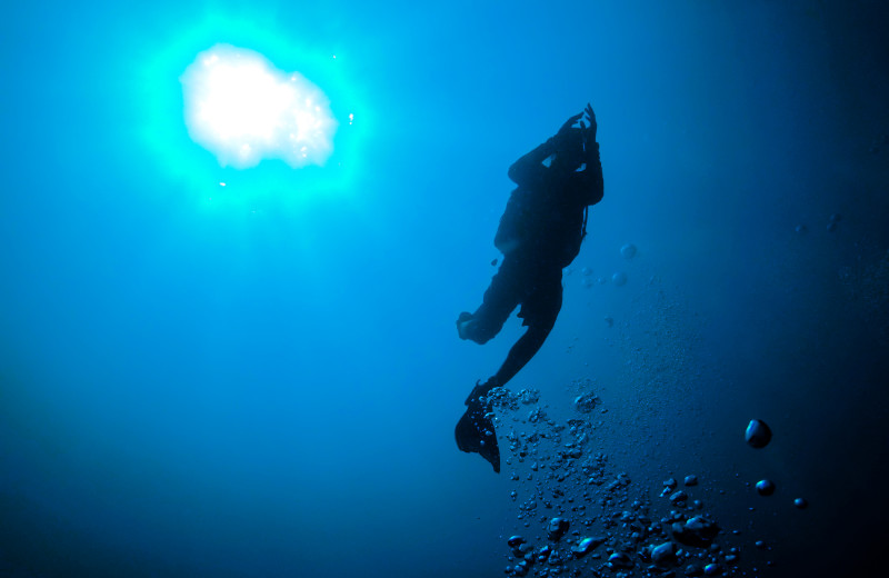 Diving near The South Winds.