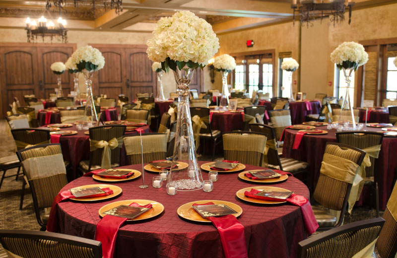 Wedding reception at Gervasi Vineyard.