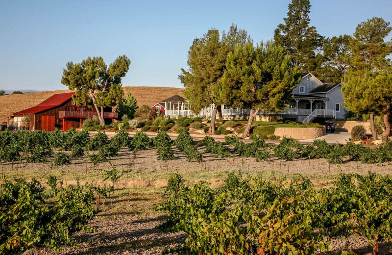 Exterior view of Ventuex Vineyards B 