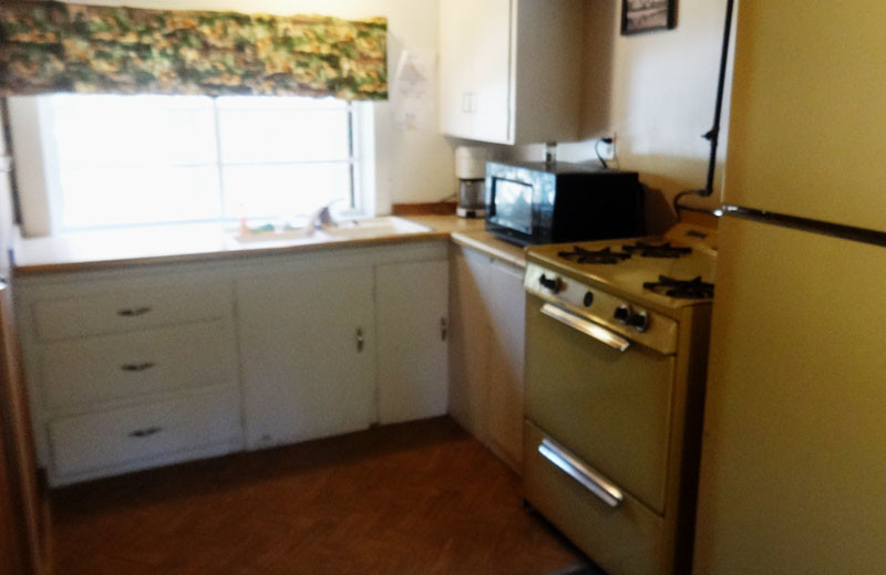 Cabin kitchen at North Shore Lodge & Resort.