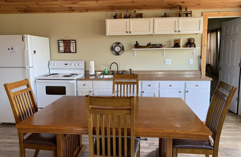 Cabin kitchen at Holly's Resort.