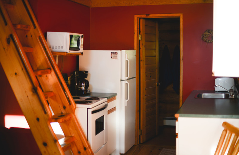 Cabin kitchen at Falcon Beach Ranch.